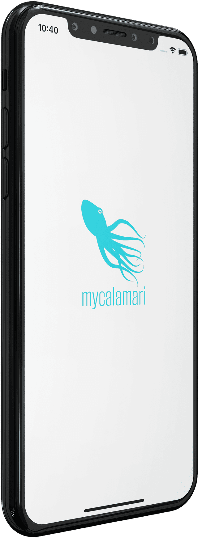 MyCalamari - 1